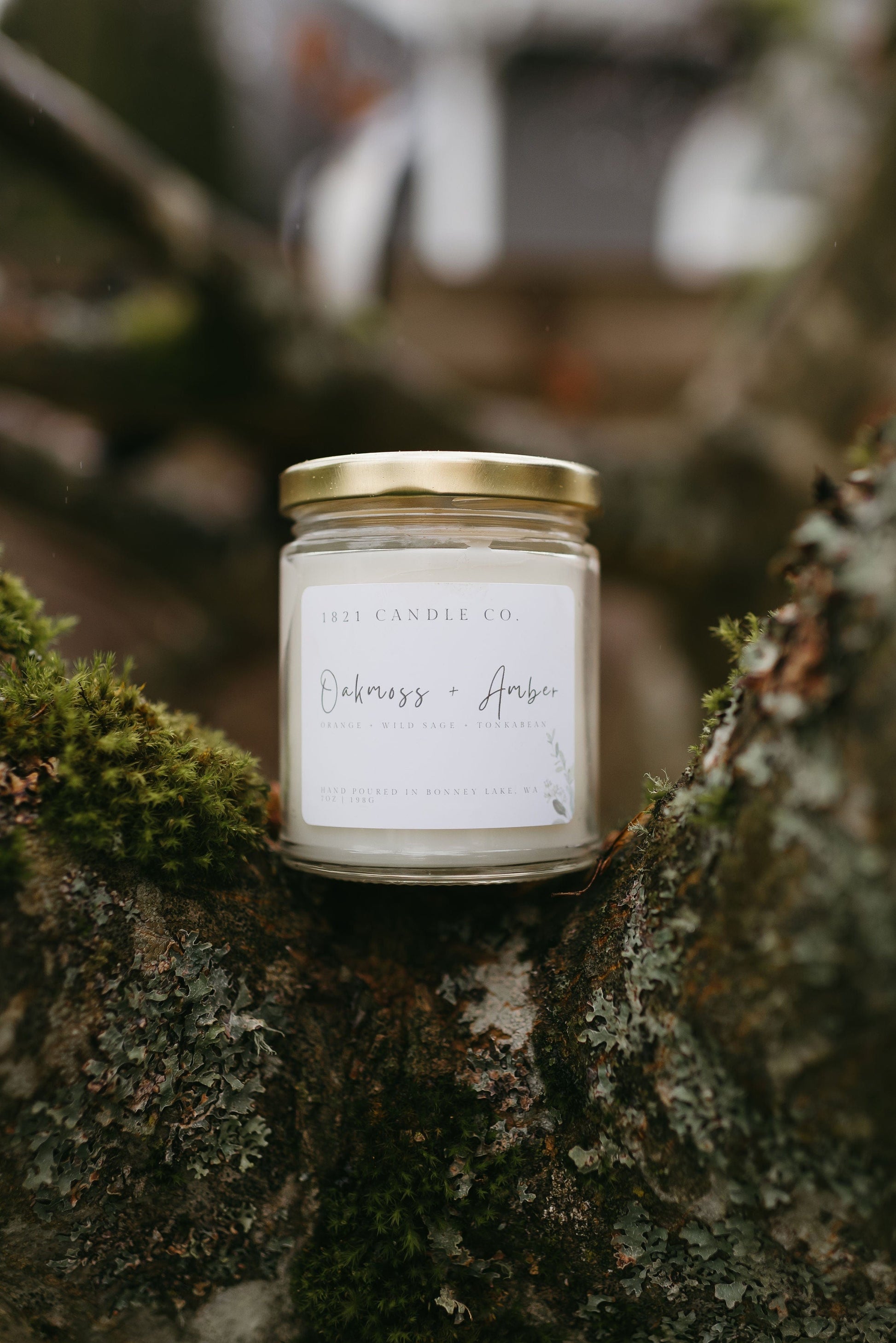 Oakmoss Amber handmade candle style in a tree with moss surrounding it - earthy scented candle with notes of sage, amber and tonka bean
