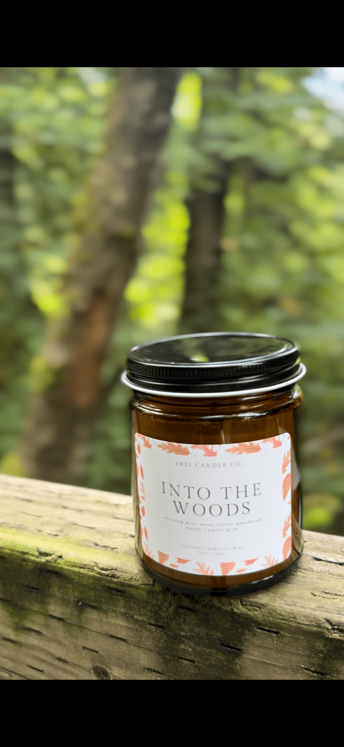 Into The Woods Limited Edition Candle | Oakmoss, Amber, Sage | Fall Coconut Wax Candle