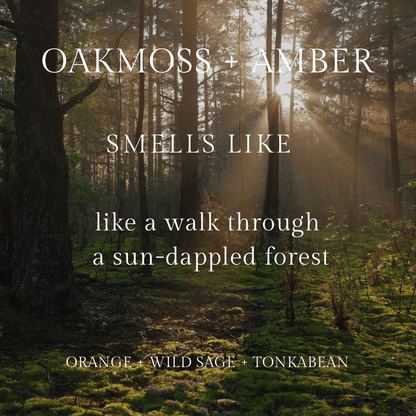 Infographic for Oakmoss + Amber Candle that smells like a walk through a sun-dappled forest with notes of orange, wild sage and tonkabean.